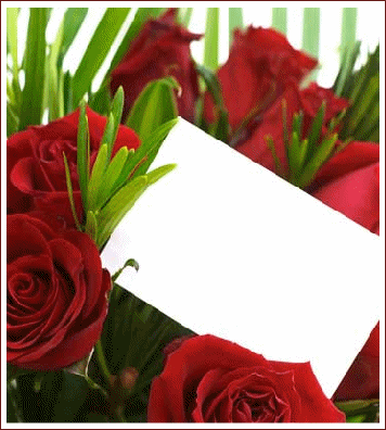 carte rose vide.gif